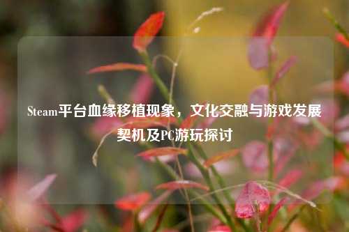 Steam平台血缘移植现象,文化交融与游戏发展契机及PC游玩探讨