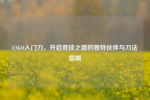 CSGO入门刀,开启竞技之路的独特伙伴与刀法指南