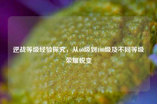逆战等级经验探究,从60级到100级及不同等级荣耀蜕变