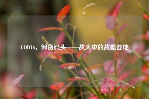 COD16，卸货码头——战火中的战略要地