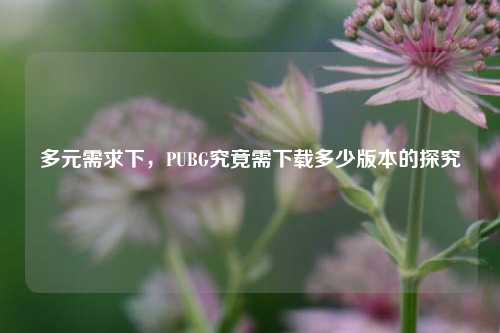 多元需求下，PUBG究竟需下载多少版本的探究