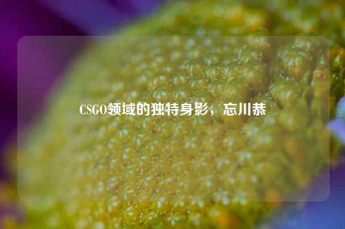 CSGO领域的独特身影,忘川恭