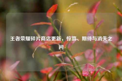 王者荣耀碎片商店更新,惊喜、期待与消失之问