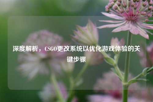 深度解析,CSGO更改系统以优化游戏体验的关键步骤