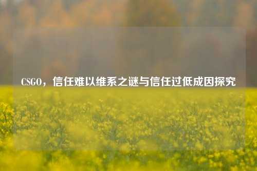 CSGO,信任难以维系之谜与信任过低成因探究