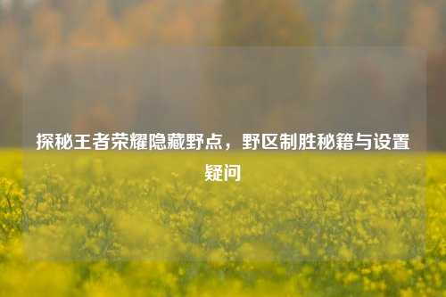 探秘王者荣耀隐藏野点,野区制胜秘籍与设置疑问