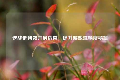 逆战低特效开启指南,提升游戏流畅度秘籍