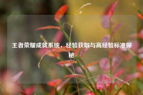 王者荣耀成就系统，经验获取与高经验标准探秘