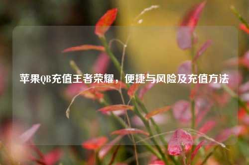 苹果QB充值王者荣耀,便捷与风险及充值方法