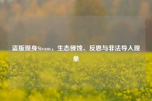 盗版现身Steam,生态侵蚀、反思与非法导入现象