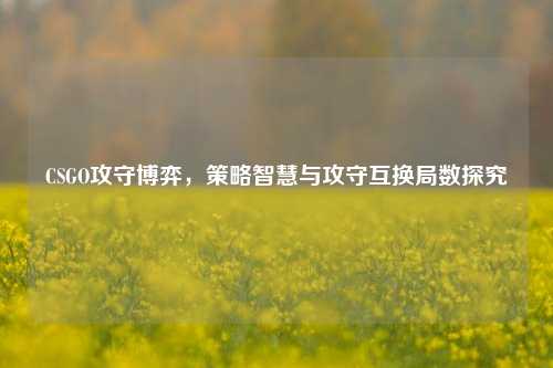 CSGO攻守博弈，策略智慧与攻守互换局数探究