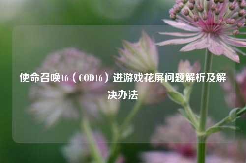 使命召唤16（COD16）进游戏花屏问题解析及解决办法