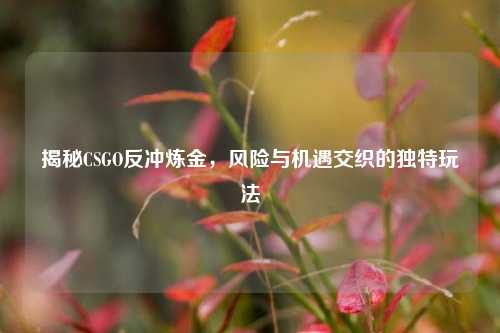 揭秘CSGO反冲炼金,风险与机遇交织的独特玩法