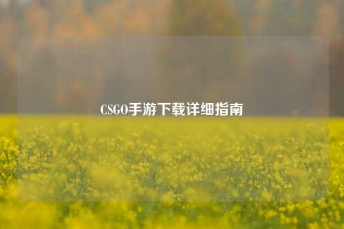 CSGO手游下载详细指南