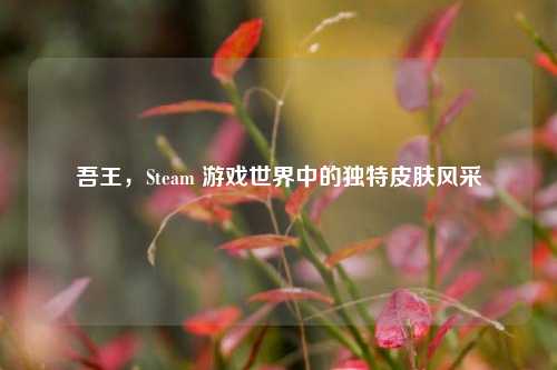 吾王，Steam 游戏世界中的独特皮肤风采