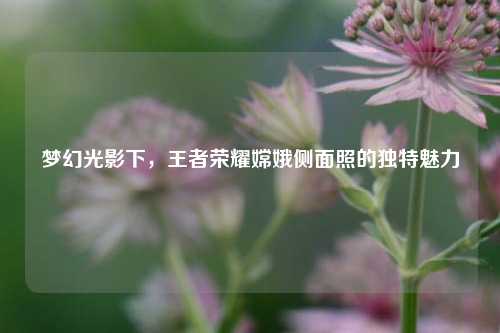 梦幻光影下,王者荣耀嫦娥侧面照的独特魅力