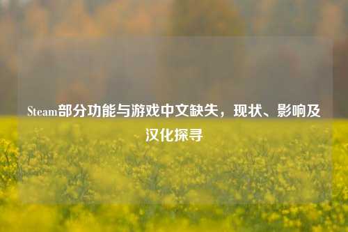 Steam部分功能与游戏中文缺失，现状、影响及汉化探寻