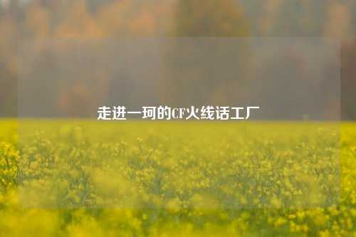 走进一珂的CF火线话工厂