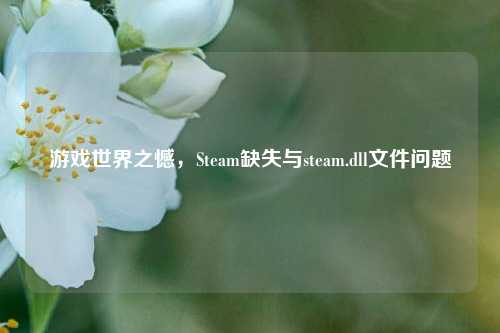 游戏世界之憾,Steam缺失与steam.dll文件问题