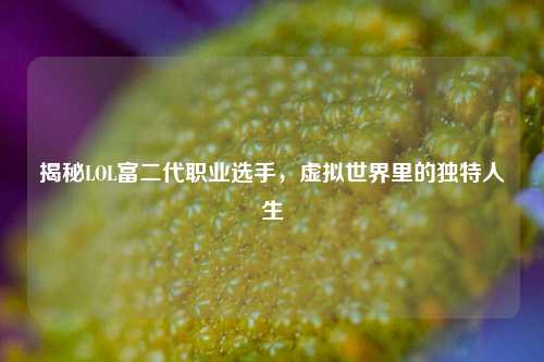 揭秘LOL富二代职业选手,虚拟世界里的独特人生