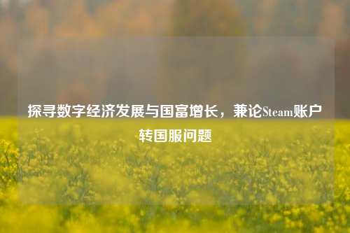 探寻数字经济发展与国富增长,兼论Steam账户转国服问题