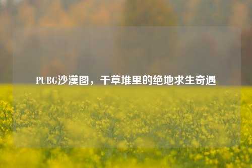 PUBG沙漠图,干草堆里的绝地求生奇遇