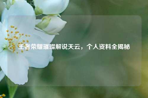 王者荣耀璀璨解说天云,个人资料全揭秘