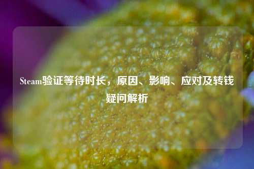 Steam验证等待时长,原因、影响、应对及转钱疑问解析