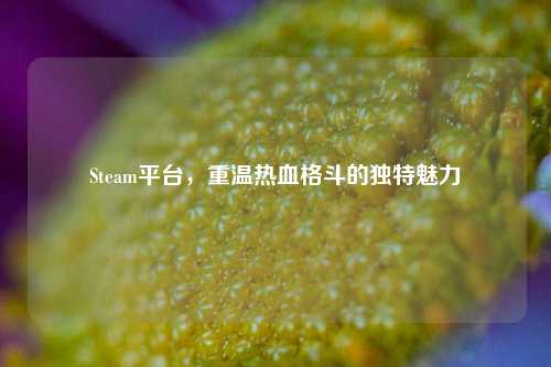Steam平台,重温热血格斗的独特魅力