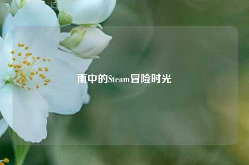 雨中的Steam冒险时光