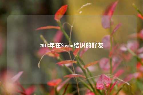 2018年在Steam结识的好友