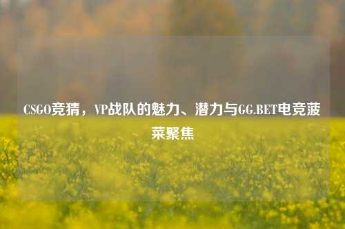 CSGO竞猜,VP战队的魅力、潜力与GG.BET电竞菠菜聚焦