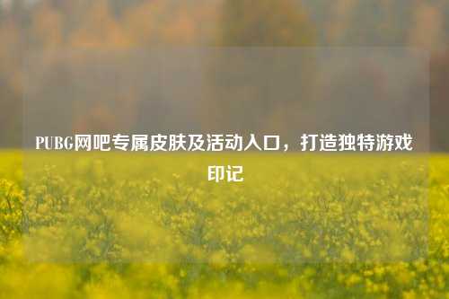 PUBG网吧专属皮肤及活动入口,打造独特游戏印记