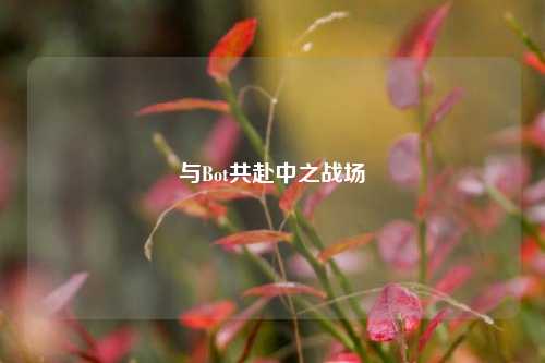 与Bot共赴中之战场