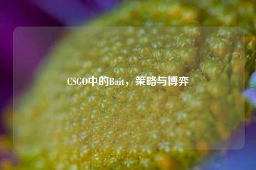 CSGO中的Bait,策略与博弈
