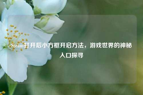 Steam打开后小方框开启方法,游戏世界的神秘入口探寻
