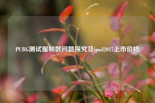 PUBG测试服帧数问题探究及ipad2017上市价格