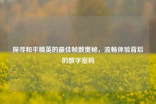 探寻和平精英的最佳帧数奥秘，流畅体验背后的数字密码
