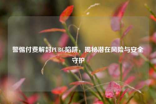 警惕付费解封PUBG陷阱，揭秘潜在风险与安全守护