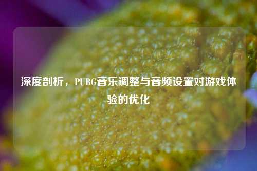 深度剖析,PUBG音乐调整与音频设置对游戏体验的优化
