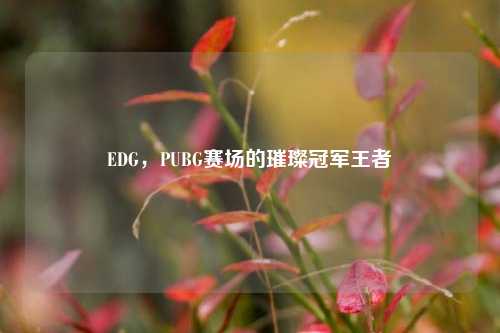 EDG,PUBG赛场的璀璨冠军王者