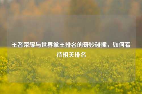 王者荣耀与世界拳王排名的奇妙碰撞,如何看待相关排名