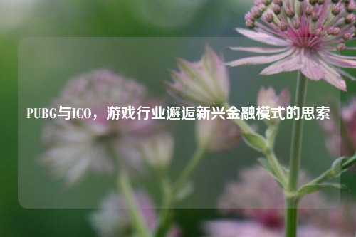 PUBG与ICO，游戏行业邂逅新兴金融模式的思索