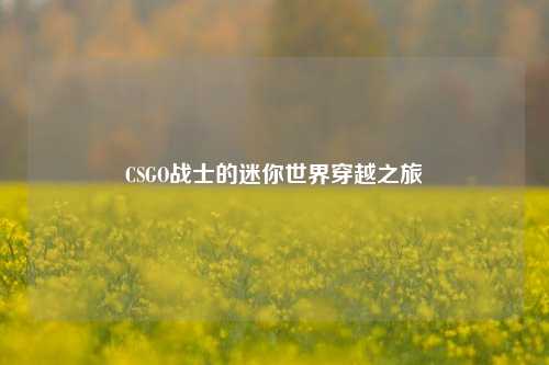 CSGO战士的迷你世界穿越之旅
