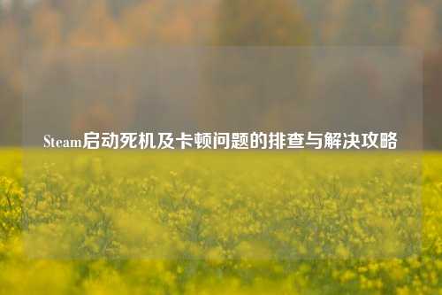 Steam启动死机及卡顿问题的排查与解决攻略