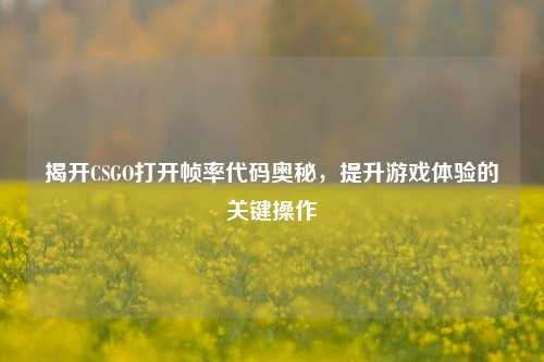 揭开CSGO打开帧率代码奥秘,提升游戏体验的关键操作