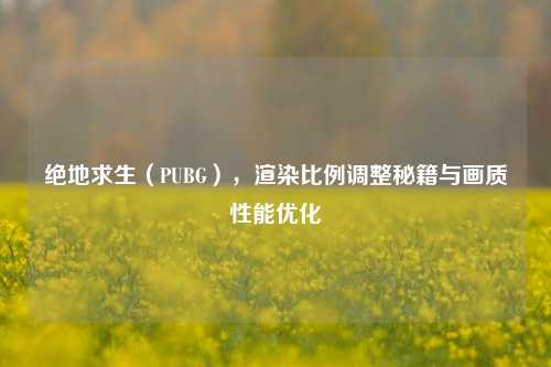 绝地求生(PUBG),渲染比例调整秘籍与画质性能优化