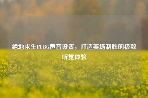 绝地求生PUBG声音设置，打造赛场制胜的极致听觉体验