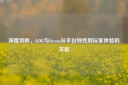 深度剖析，GOG与Steam从平台特性到玩家体验的关联