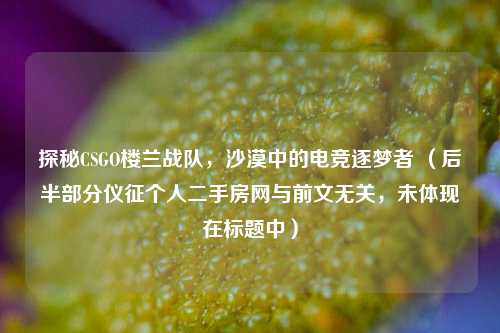 探秘CSGO楼兰战队,沙漠中的电竞逐梦者 (后半部分仪征个人二手房网与前文无关,未体现在标题中)